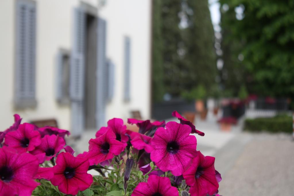 Villa Montarioso Siena Luaran gambar
