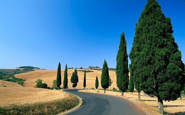 Villa Montarioso Siena Luaran gambar